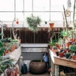 Uncbotanicalgardens Robertkisiah 2018 042