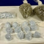 Chester County Drug Bust 1