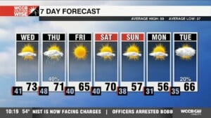 Spring Like Warmth Continues