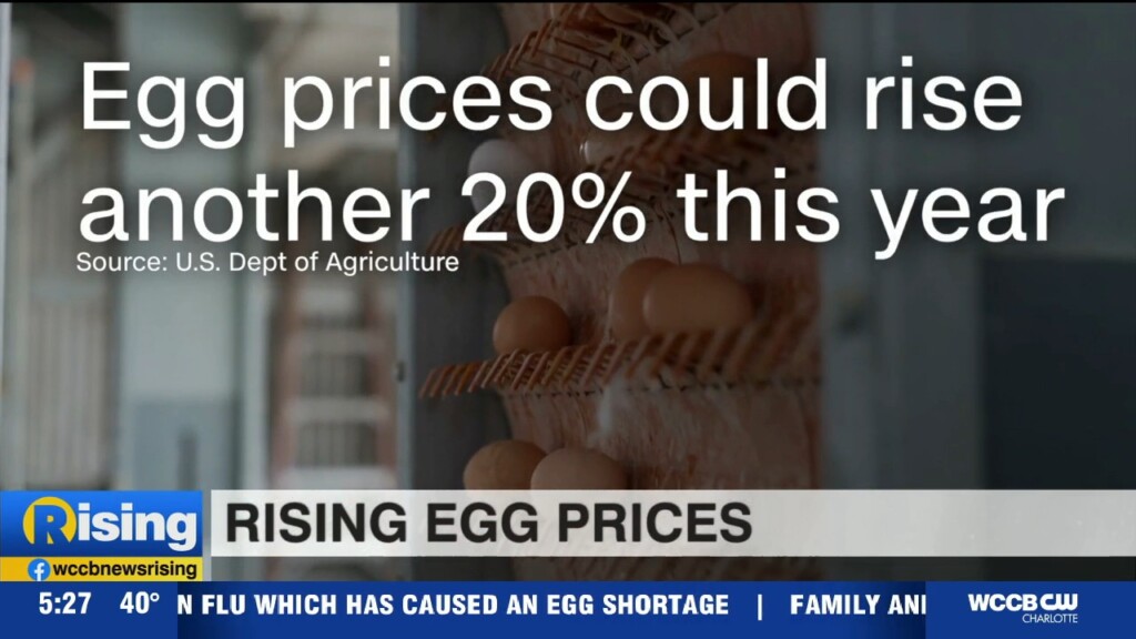 Egg Prices Up