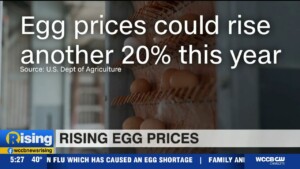 Egg Prices Up