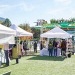 Thebowl 24