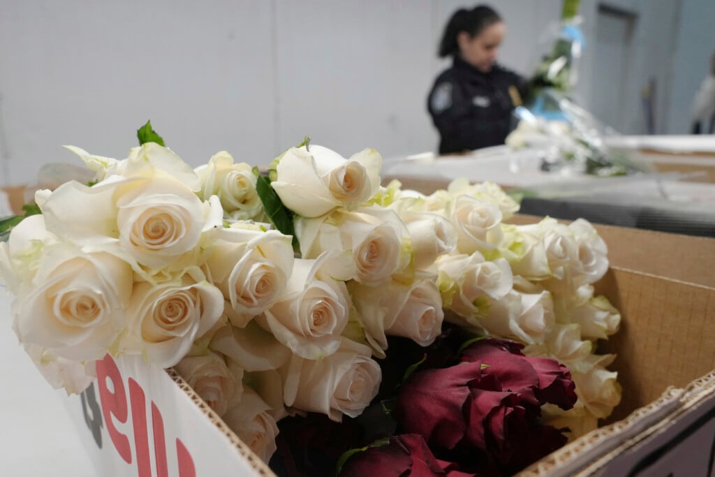 Valentine's Day Flowers