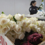 Valentine's Day Flowers