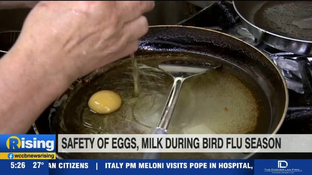 Bird Flu Update