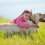 Dog Days Of Winter Sat Feb 15 2025 8 00am 10 00pm