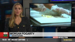 Jwu Free Tuition Initiative