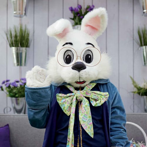 Bunny Rsc259