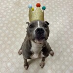 Winter A1163248