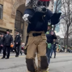 Cfd Dog