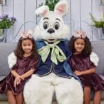 Bunny Rsc169