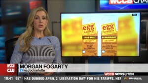 Egg Substitute Recalls