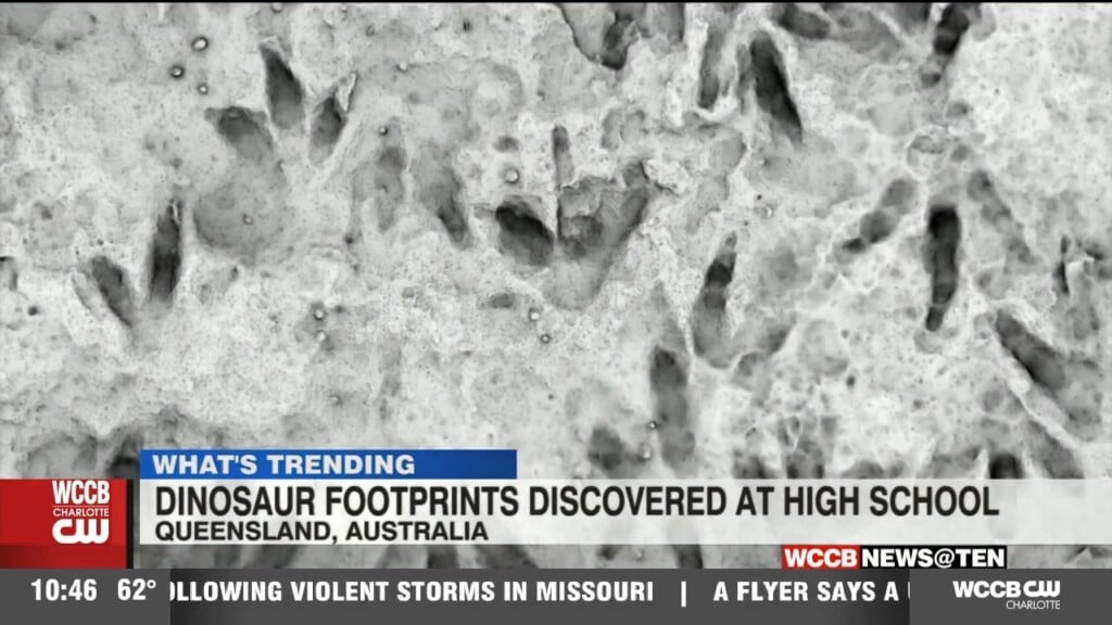 Dinosaur Footprints Discovered At Australian High School