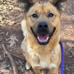 Wendy A1239475