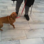 Luna A5465031
