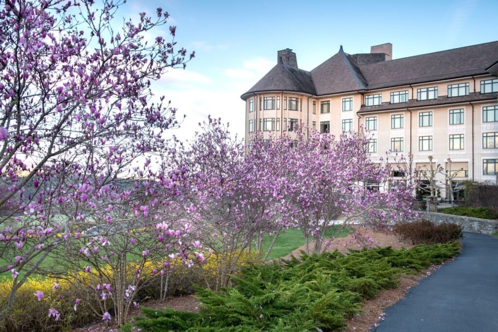 Digital Biltmore 202303 23spring49
