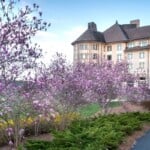Digital Biltmore 202303 23spring49