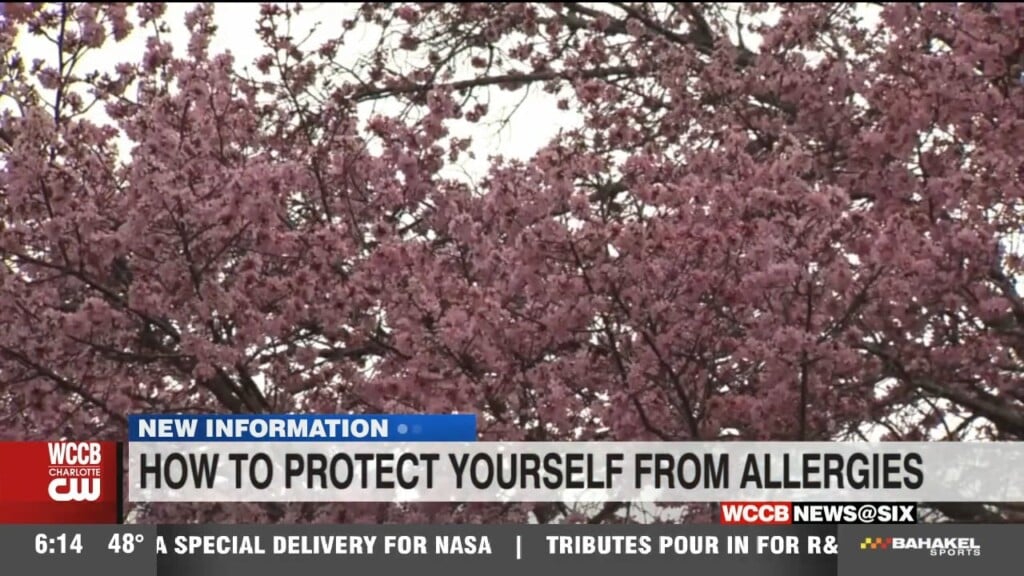 Flowers Bloom And Pollen Booms Across Carolinas