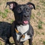 Mia A1239550