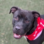 Coco A1238301