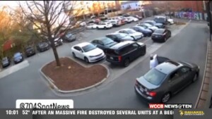 Animal Abuse Investigation Underway