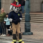Cfd Dog 2