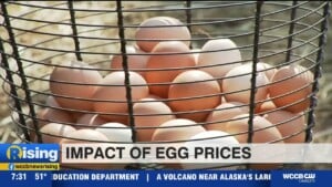 Impact Of Soaring Egg Prices