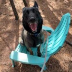 Kira A5473510