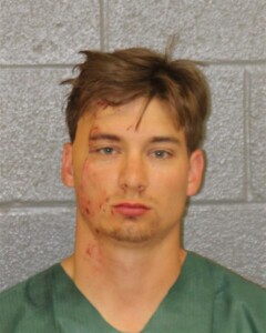 Micahel Peterson Dwi Reckless Driving Hitrun Leave Scene Property Damaged