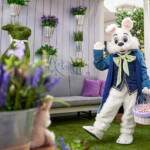 Caring Bunny Rsc81