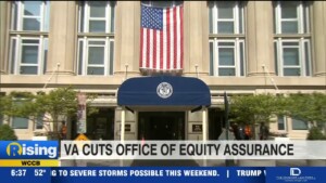 Va Office Of Equity Assurance