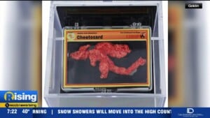 Cheeto Charizard