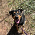 Lofton A1240592
