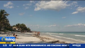 Spring Break Warnings