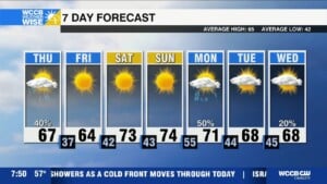 Spring Makes An Entrance