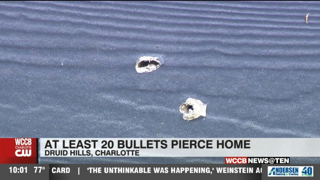 Bullets Fly Through Druid Hills Home