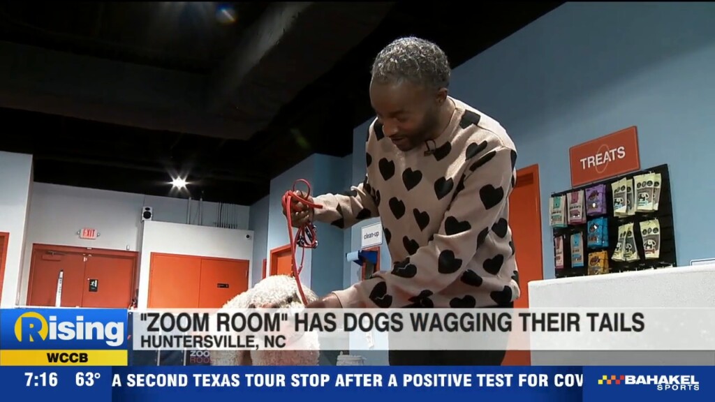 Zoom Room Has Dogs Wagging Their Tails