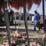 People clean up a damaged warehouse after severe weather passed the area in Carmel, Ind., Thursday, April 3, 2025. (AP Photo/Michael Conroy)