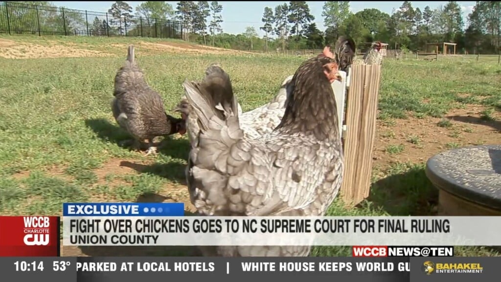 Fight Over Chickens Goes To Nc Supreme Court For Final Ruling