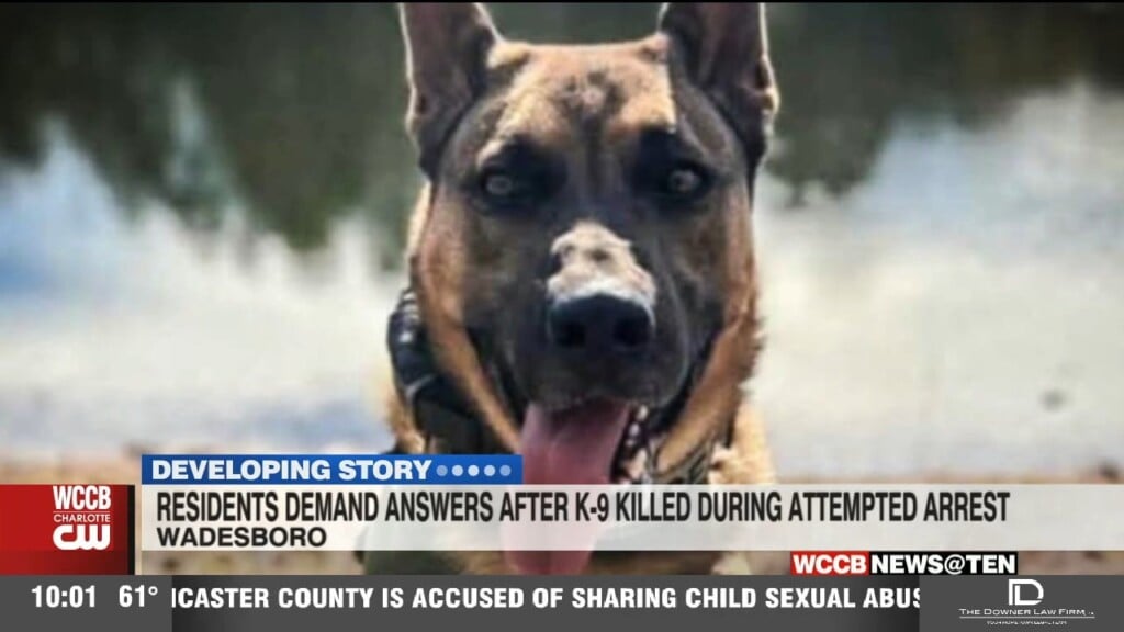Residents Demand Answers After K 9 Killed During Attempted Arrest