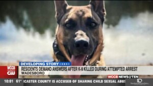 Residents Demand Answers After K 9 Killed During Attempted Arrest