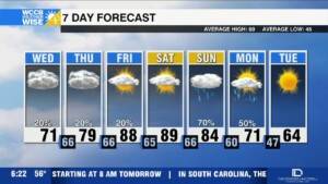 Classic Carolina Wedge