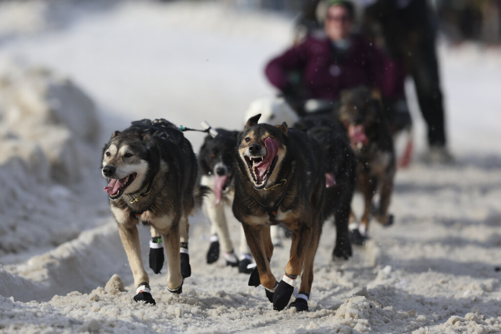 Ap Top Photos Of The Month March 2025
