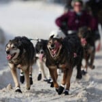 Ap Top Photos Of The Month March 2025