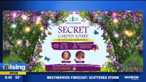 Above And Beyond Secret Garden Soiree