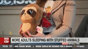 Adults & Stuffed Animals