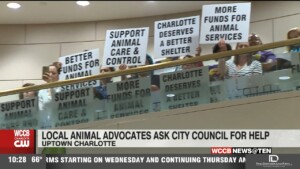 Animal Advocates Ask City Council For Help