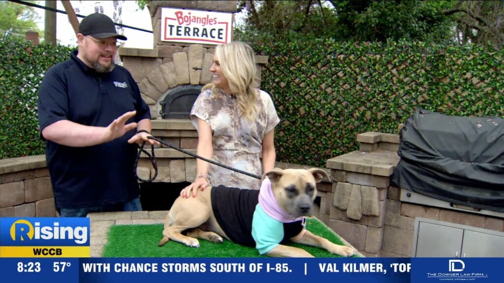 Pet Of The Week: Meet Maple