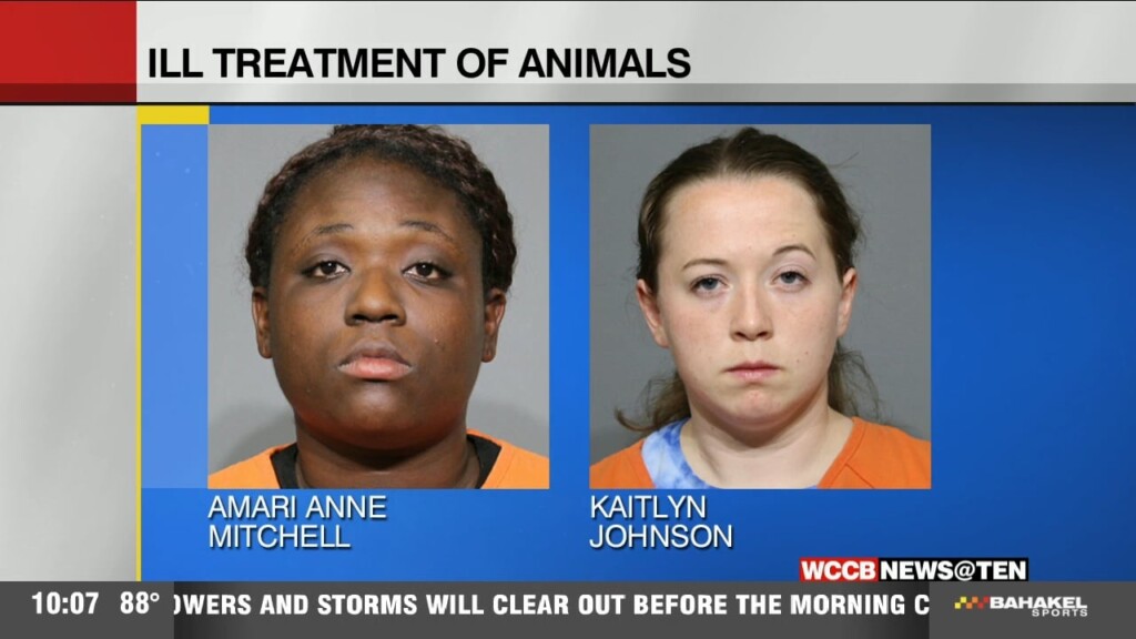 Ill Treatment Of Animals