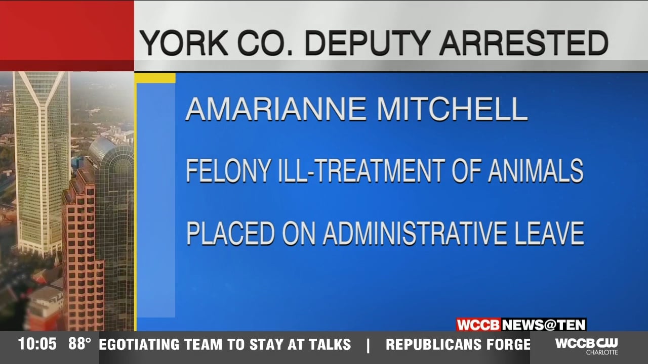 York County deputy arrested for animal mistreatment - WCCB Charlotte
